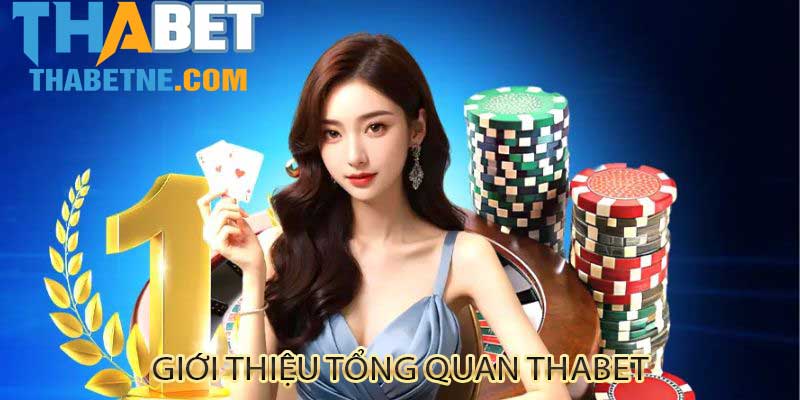 Giới thiệu tổng quan về THABET