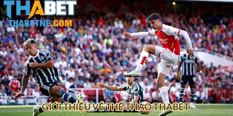 Giới thiệu tổng quan về thể thao THABET